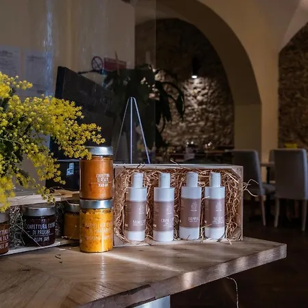 Hotel Agave In Citta Livorno