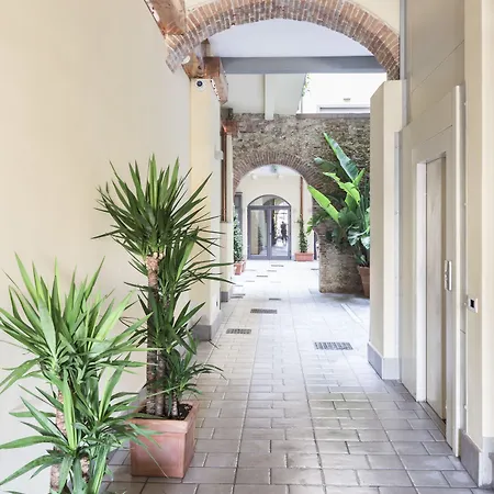 Agave In Citta