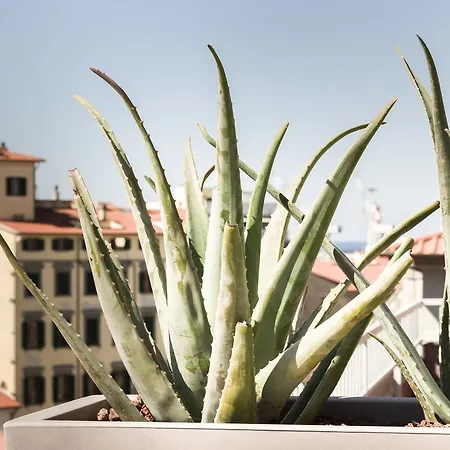 Hotel Agave In Citta Livorno