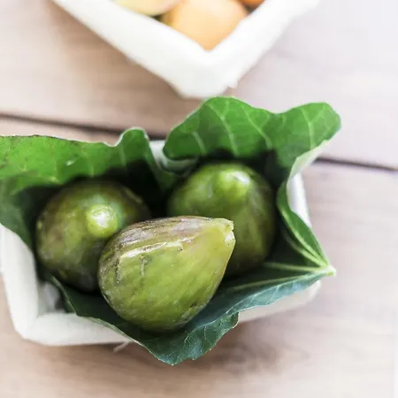 호텔 Agave In Citta 리보르노